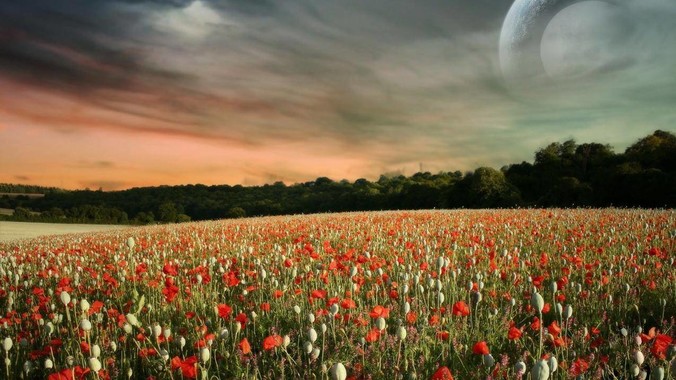 能够自己一个人创业的全栈web码农fullstack developer要会哪些技术？